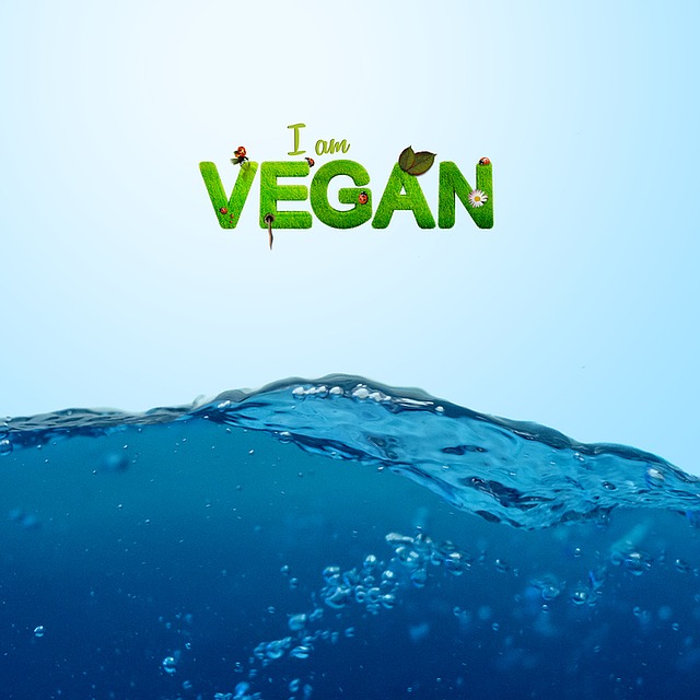 vegan-1091012_640