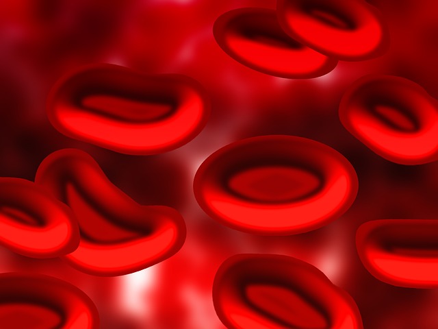 blood-75301_640