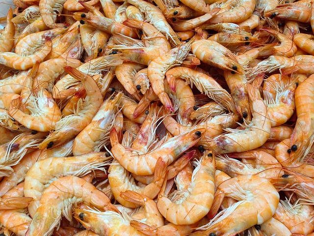 shrimp-727214_640