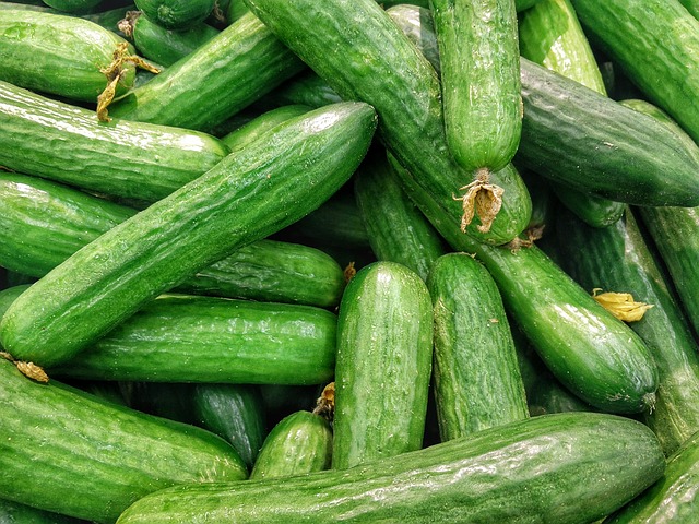 cucumbers-1081700_640