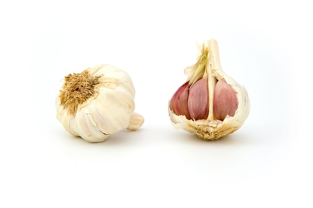 garlic-1808_640