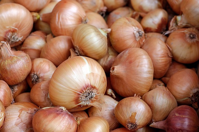onions-1397037_640