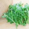 冬の青菜といえば文句なしに「春菊」その最大の理由は葉緑素を豊富に含んでいること