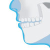 歯の噛み合せ、口の開け方と身体全体との相関関係　