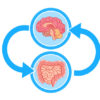 感情脳と密接に関係する腸内環境の浄化を【腸は考える臓器である】